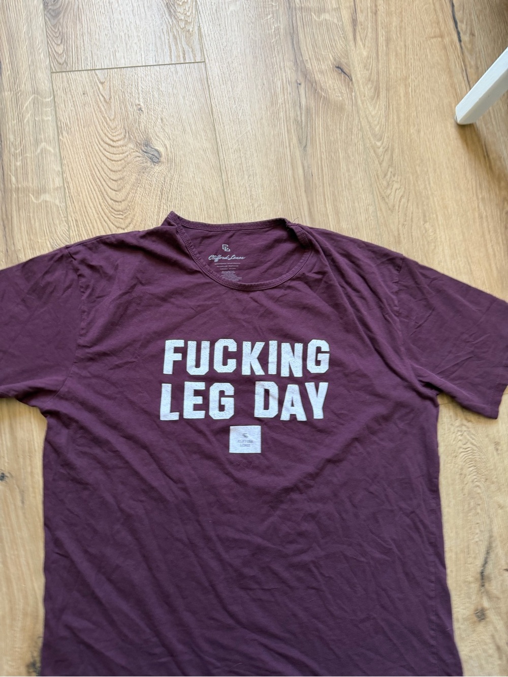 Unbranded Burgundy Short Sleeve Tee - 'Fucking Leg Day'